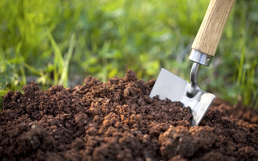 Выбор и улучшение плодородного грунта для вашего сада